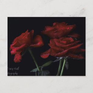 Postal Forever Yours