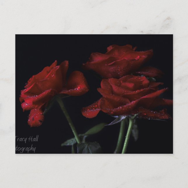 Postal Forever Yours (Anverso)