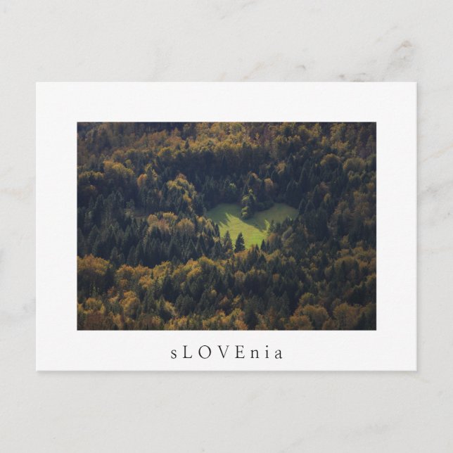 Postal Forma cardíaca en un bosque de Eslovenia (Anverso)