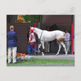 Postal Forma que se ajusta completamente por tapit