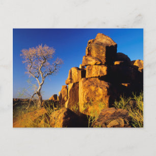 Postal Formación de roca y árbol, patio de recreo del gig