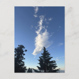 Postal Formación dramática de nubes sobre pinos