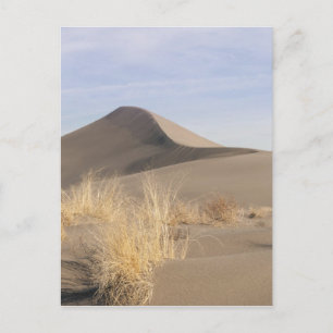 Postal Formaciones de dunas de arena. Parque estatal Brun