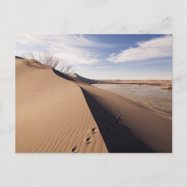 Postal Formaciones de dunas de arena. Parque Estatal Brun (Anverso)