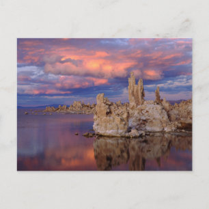 Postal Formaciones de toba en el lago Mono