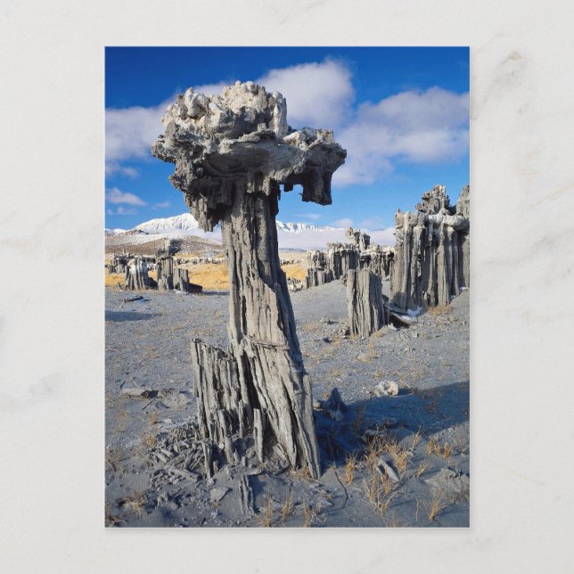 Postal Formaciones de tufa de arena, Lago Mono, Californi (Anverso)