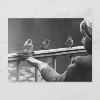 Postal Formar una cola ordenada