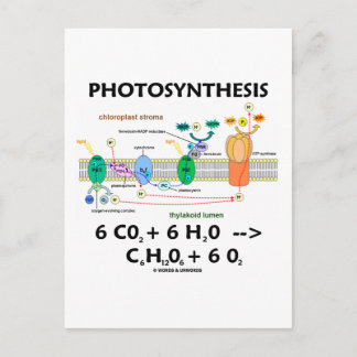 Postal Fórmula de fotosíntesis (química)