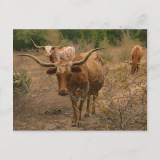 Postal Forraje de alimentos