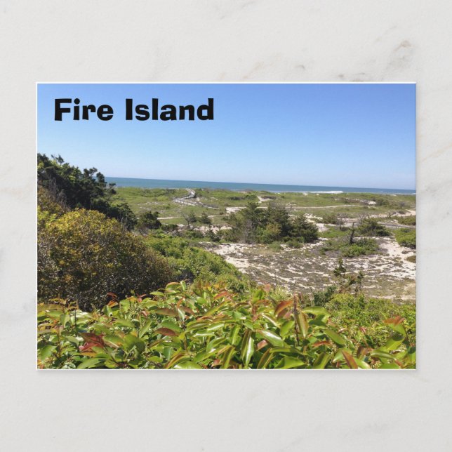 Postal Forrest Sunken, isla de incendios, NY (Anverso)