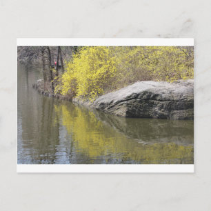 Postal forsitis y reflexión