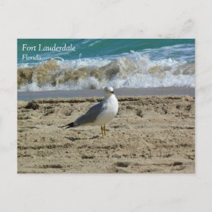 Postal Fort Lauderdale, Florida