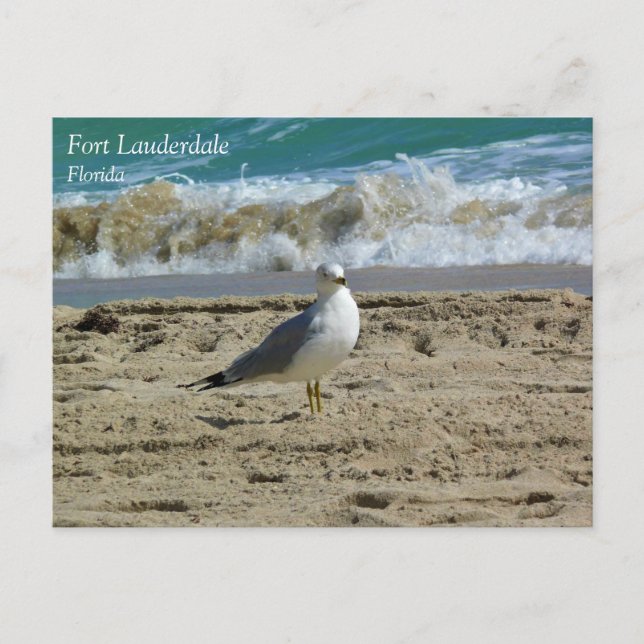 Postal Fort Lauderdale, Florida (Anverso)