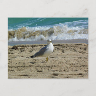 Postal Fort Lauderdale, Florida