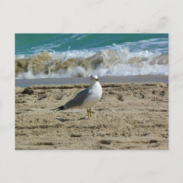 Postal Fort Lauderdale, Florida (Anverso)