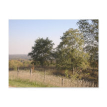 Foto cercada de Hilltop 2004