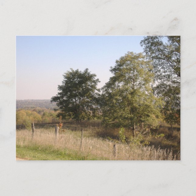 Postal Foto cercada de Hilltop 2004 (Anverso)