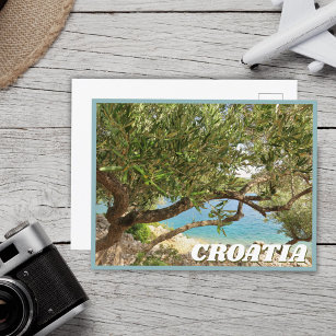 Postal Foto de árbol de olivo del mar Mediterráneo