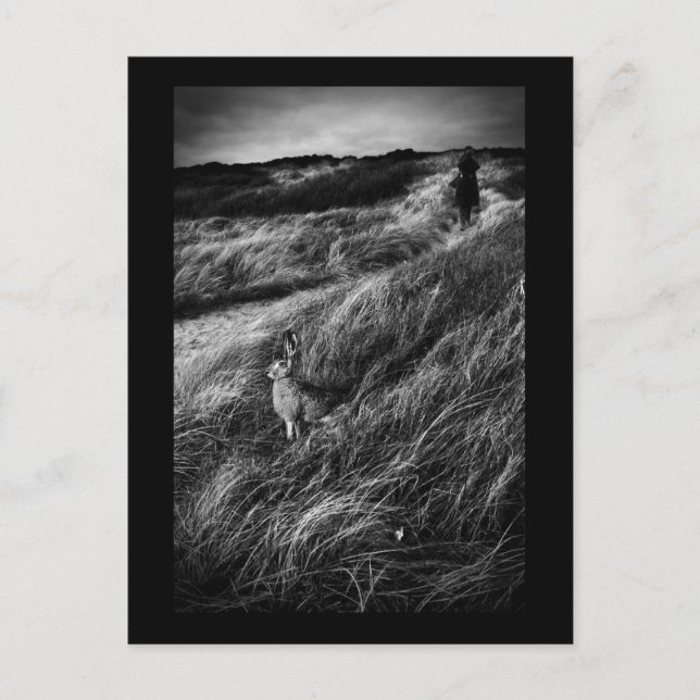 Postal Foto de arte fino de Le Rendez-vous d'Alice Wonder (Anverso)