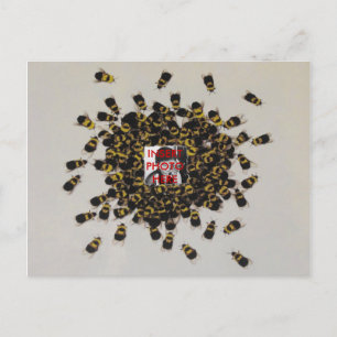 Postal FOTO DE Bee Ocupada INSERTAR ~ Postcard