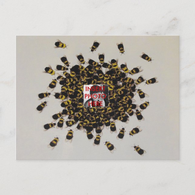 Postal FOTO DE Bee Ocupada INSERTAR ~ Postcard (Anverso)