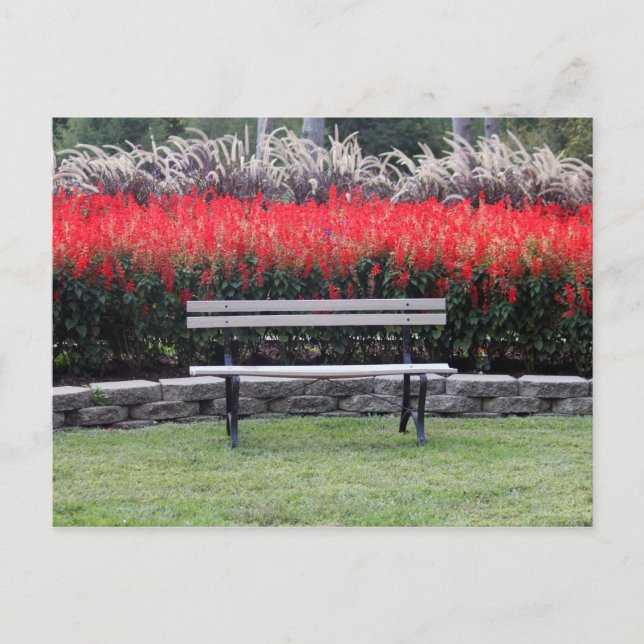 Postal Foto de Bench Red Floral (Anverso)