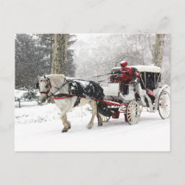 Postal Foto de caballo y buggy en el invierno de Central 
