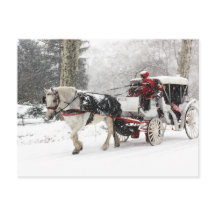 Foto de caballo y buggy en el invierno de Central 