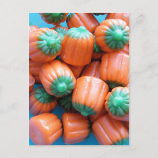 Postal Foto de calabaza de calabaza
