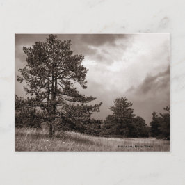 Postal Foto de campo y árbol, Hudson, Nueva York