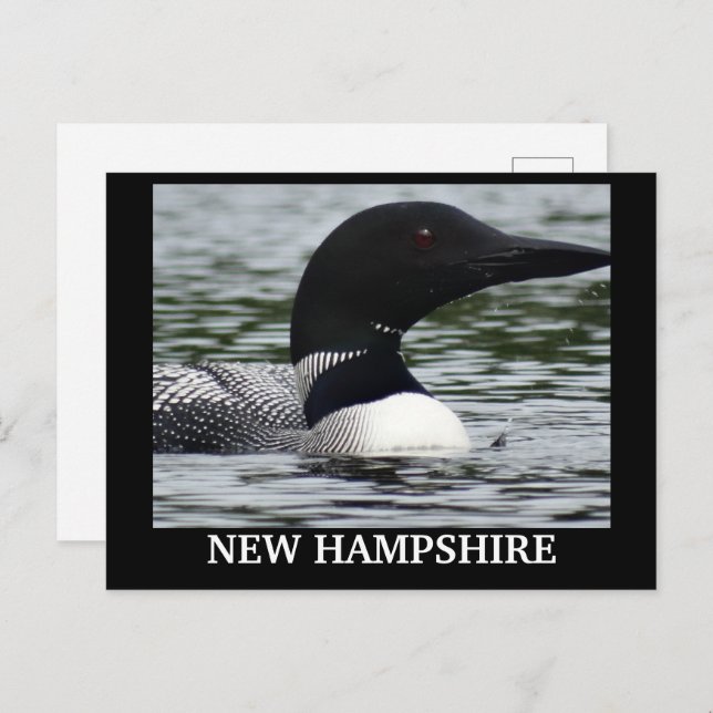 Postal Foto de cierre de Lake Loon (Anverso / Reverso)