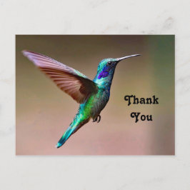 Postal Foto de colibrí verde de vida silvestre Gracias