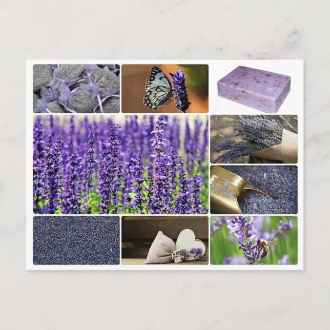 Postal Foto de collage de lavanda tropical (Anverso)