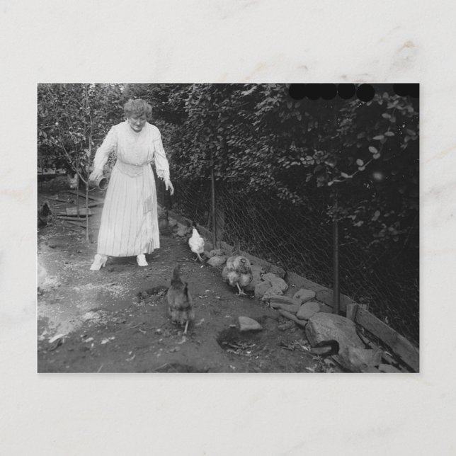 Postal Foto de cosecha de vintage (Anverso)