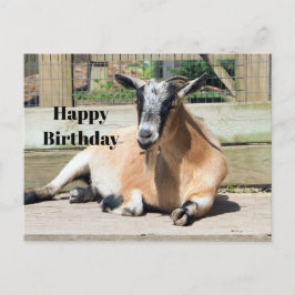 Postal Foto de cumpleaños de cabra marrón linda durmiendo