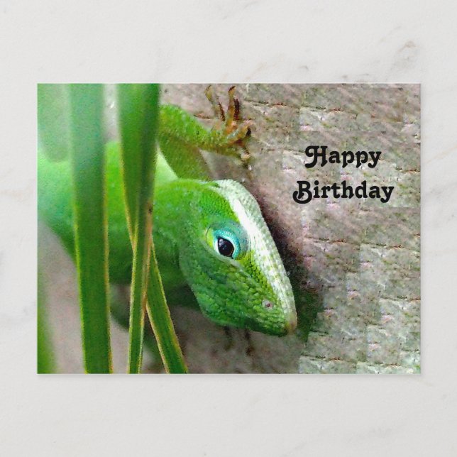 Postal Foto de cumpleaños de lagarto verde Anolis de Caro (Anverso)
