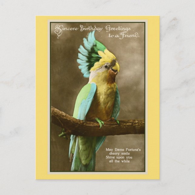 Postal Foto de cumpleaños de un viejo amigo de la cacatúa (Anverso)