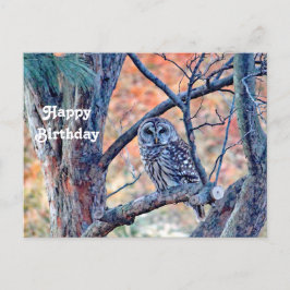 Postal Foto de cumpleaños del búho barredor en el árbol d