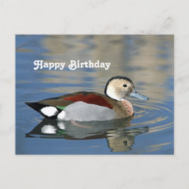 Postal Foto de cumpleaños del pato silvestre de ala anill