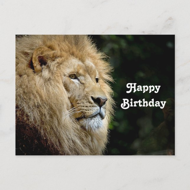 Postal Foto de cumpleaños del perfil de león de vida silv (Anverso)