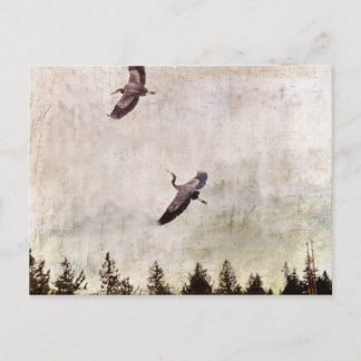 Postal Foto de dos garzas volando