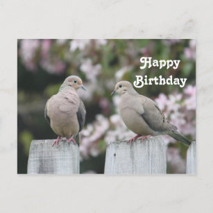Postal Foto de Doves de luto Cumpleaños