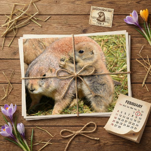 Postal Foto de familia de marmota realista linda
