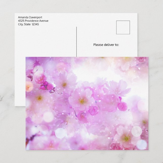 Postal Foto de flores de cerezo rosadas en flor (Anverso / Reverso)