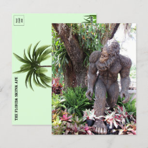 Postal Foto de Florida Skunk Ape