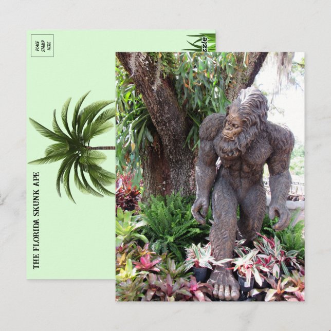 Postal Foto de Florida Skunk Ape (Anverso / Reverso)