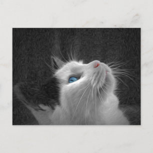 Postal Foto de gato con ojos azules