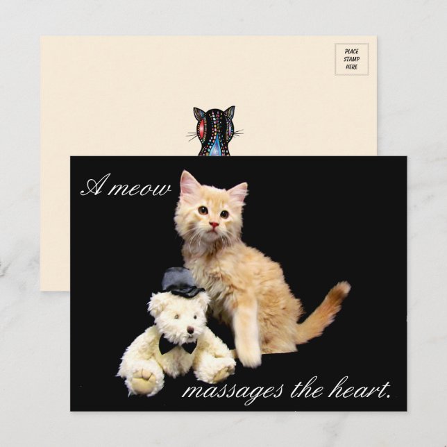 Postal Foto de gato - Sundrop and Teddy Bear (Anverso / Reverso)