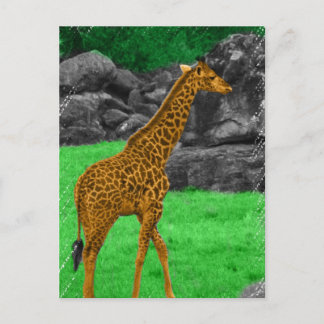 Postal Foto de Giraffe naranja coloreado y verde