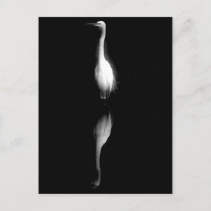 Postal Foto de grúa en blanco y negro